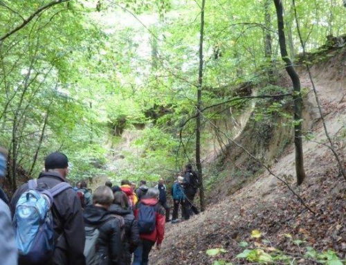 Erster Lehrgang zum/zur Bewerbung für „BANU-zertifizierten Natur- und  Landschaftsführer©“ startet im September 2022 beim Naturpark Neckartal-Odenwald