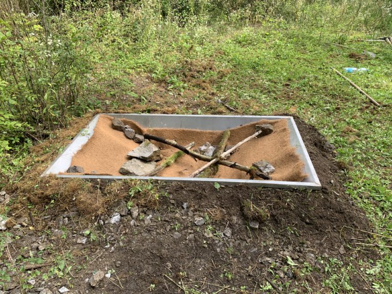 Edelstahlwanne als Amphibienlaichgewässer