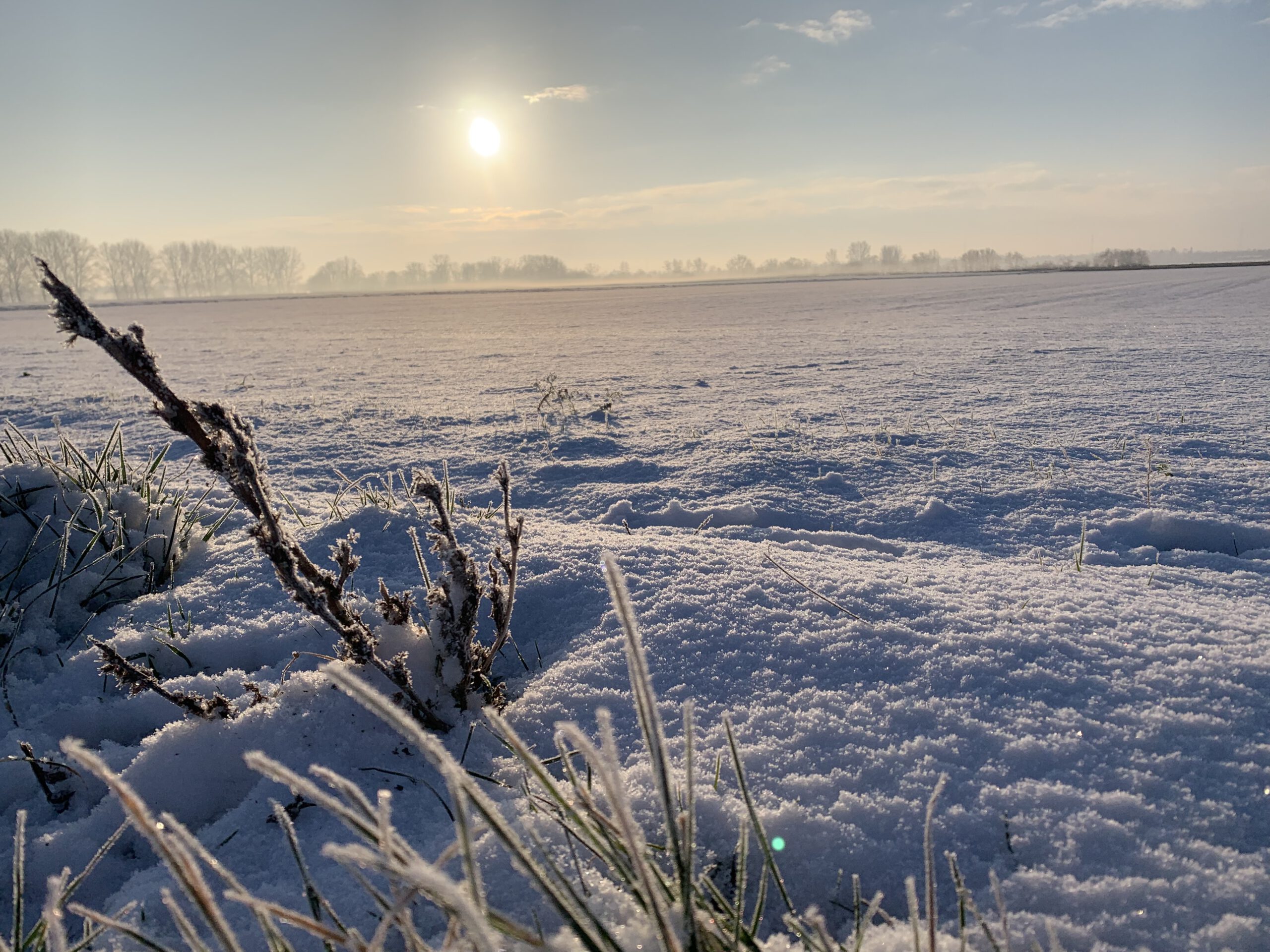 Das Foto zeigt eine Winterlandschaft im Sonnenschein