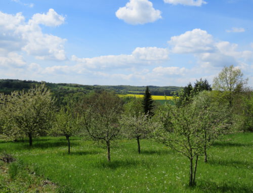 Ausschreibung des Deutschen Landschaftspflegepreises