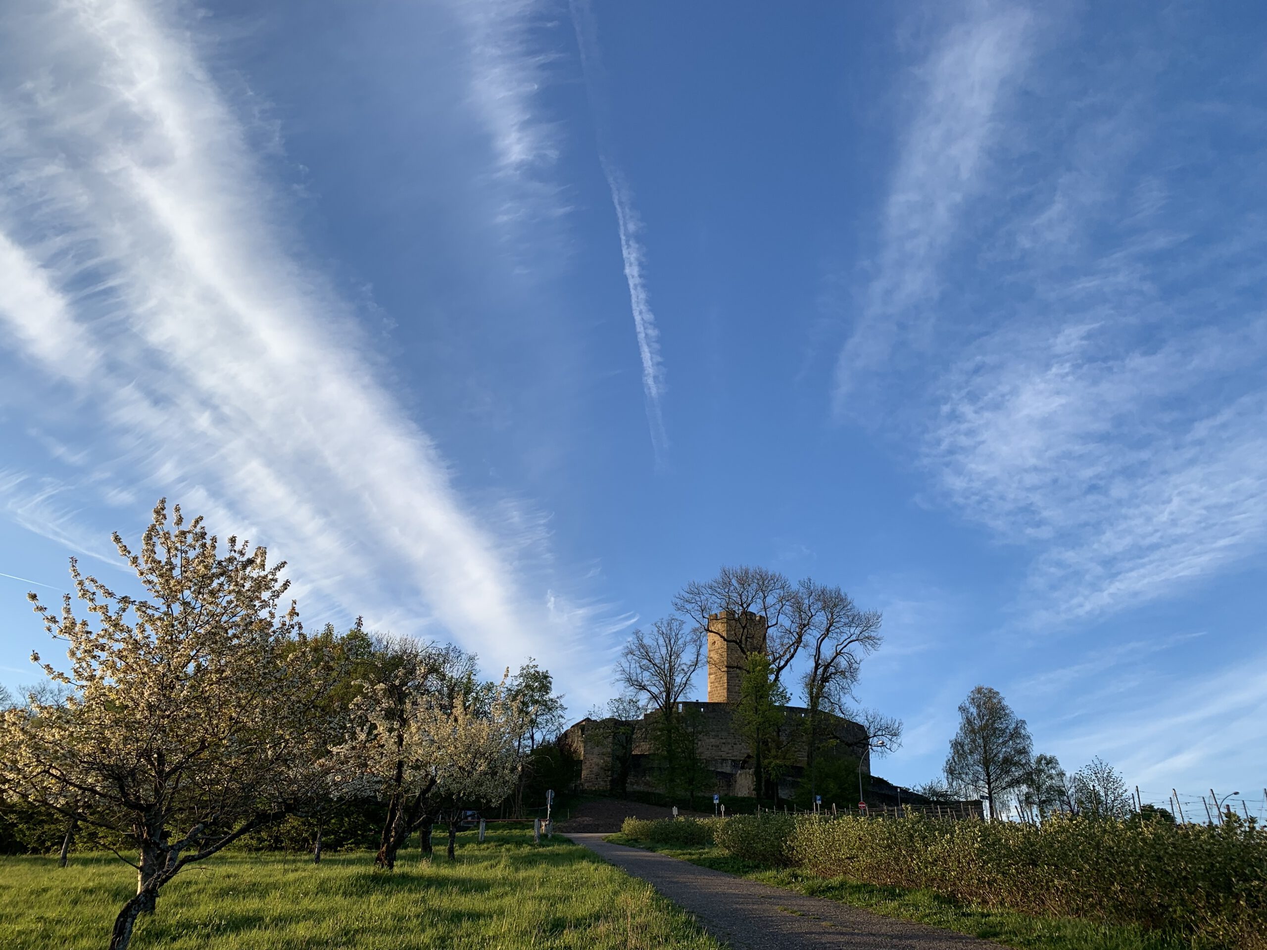 Burg Steinsberg in Sinsheim