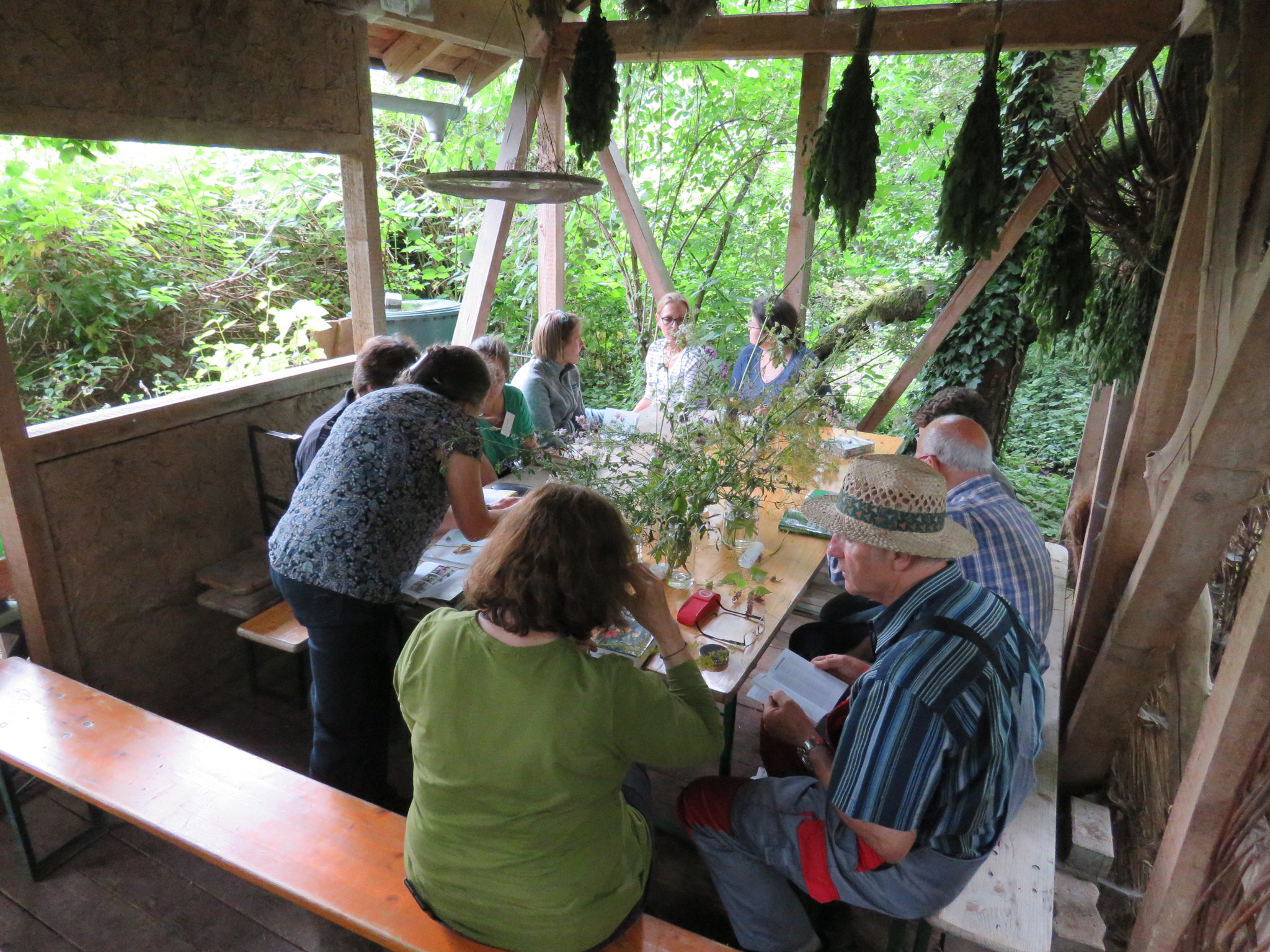 Streuobstpädagogen bei der Bestimmung von Pflanzen
