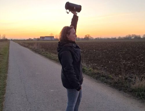 Mitmachen erwünscht: Freiwillige für Rebhuhnkartierung gesucht