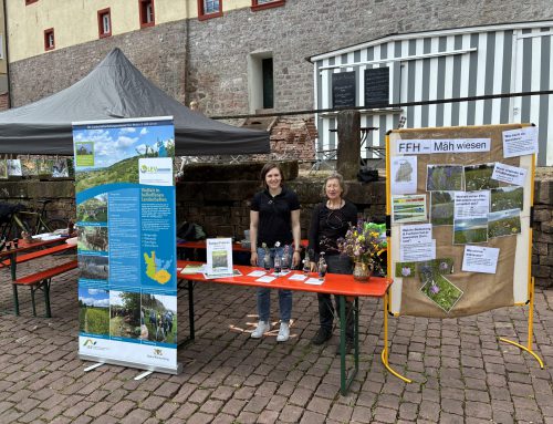 Der LEV beim Naturpark-Markt in Neckargemünd am 17. Mai 2026