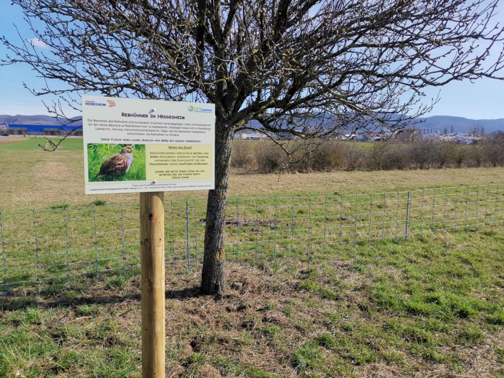 Die Hecke auf dieser Fläche soll zum Landschaftspflegetag abschnittsweise zurück geschnitten werden.